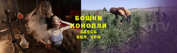 прущий лед Абаза