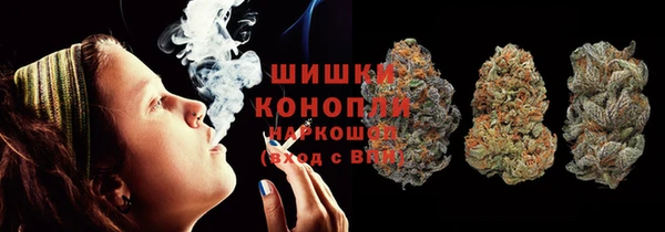 гашик Алексин