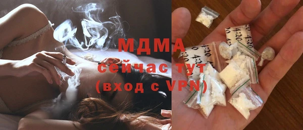гашик Алексин
