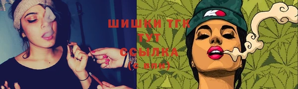 прущий лед Абаза