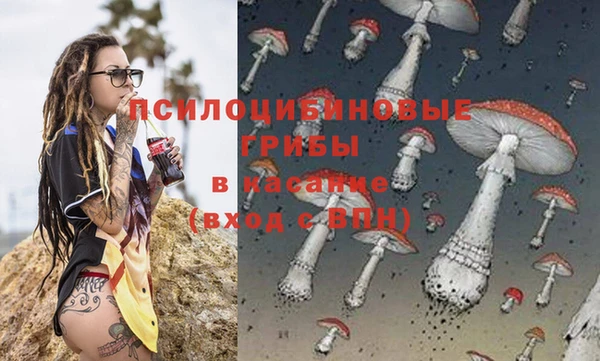 соль курить ск Алексеевка