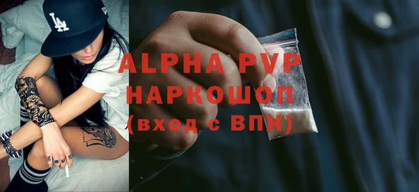 прущий лед Абаза