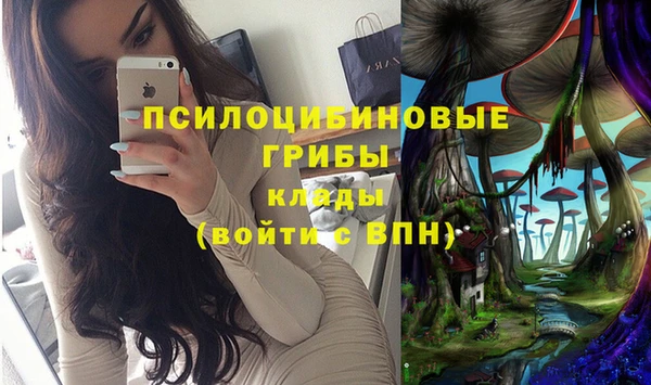 СК Абинск