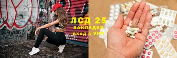 сатива Алзамай